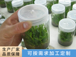 上海组培玻璃瓶定制