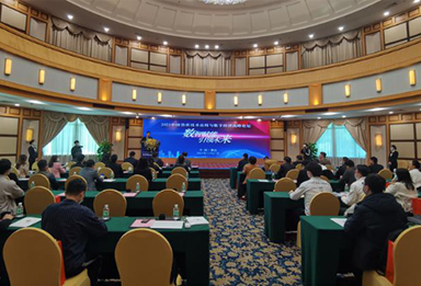 华智院参与承办的“2021中国仿真技术应用与数字经济论坛” 在顺德举行