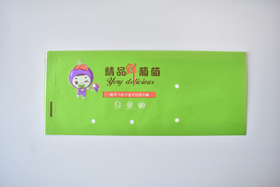 台州包装葡萄中封袋