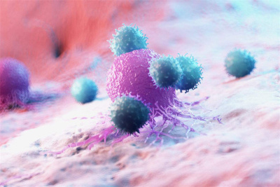 干细胞储存机构的脐血库主要技术流程