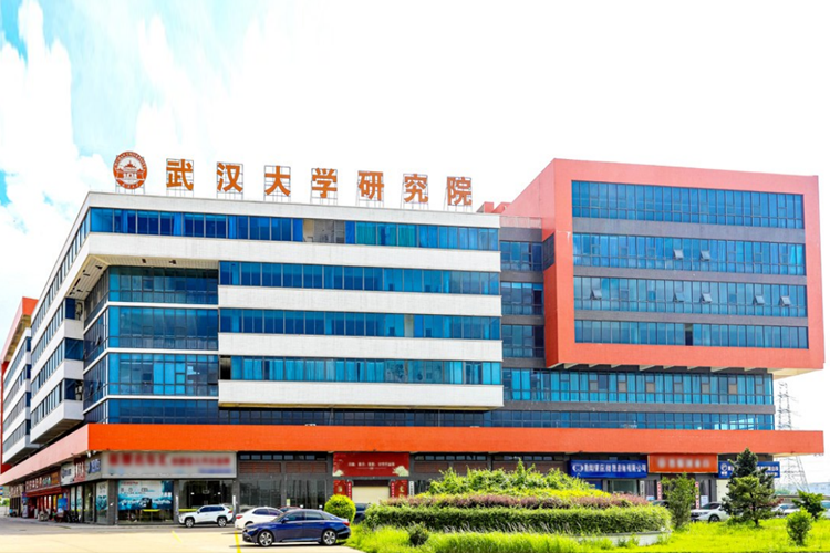 武汉大学（肇庆）资源与环境技术研究院
