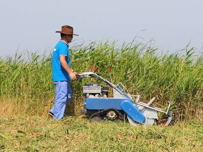 Self-propelled Crawler Lawn Mower