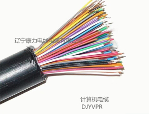 计算机电缆 DJYVPR