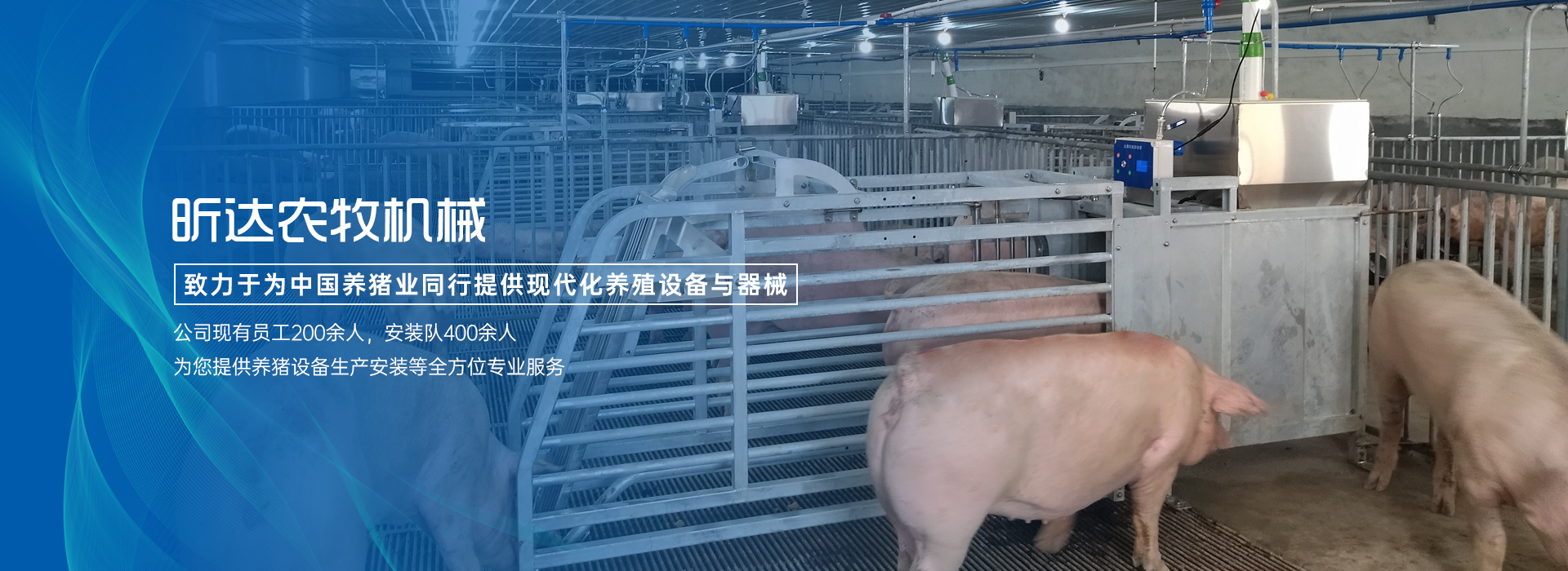 养猪设备,自动化养猪设备,猪场自动化料线