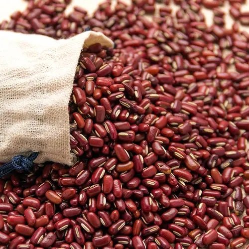 赤小豆中药材批发价格多少钱一公斤