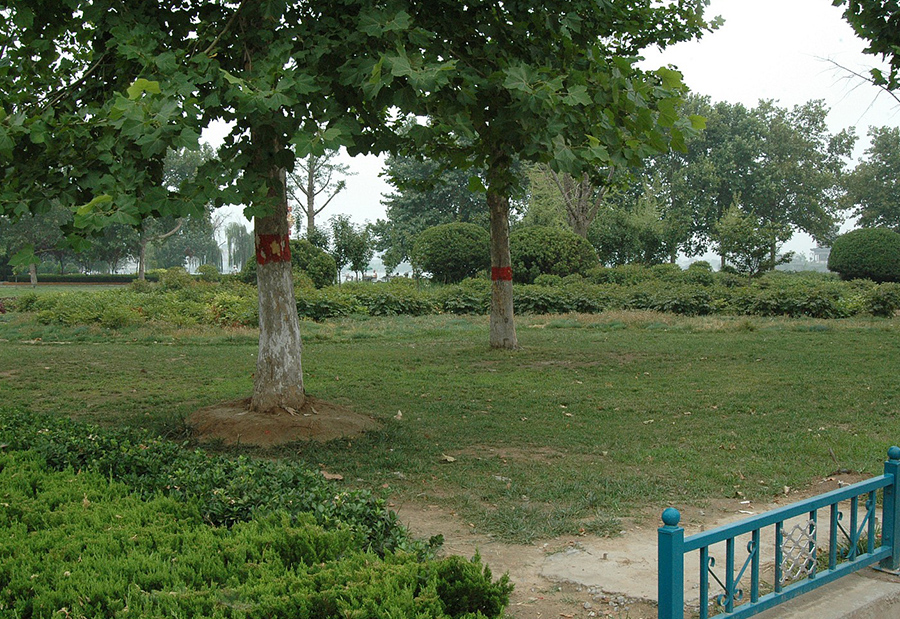 孔繁森纪念馆绿地景观设计
